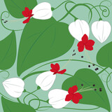 Vector beautiful floral seamless pattern - flowers and leaves of Bleeding Heart Vine, Clerodendrum thomsoniae on a lime green background.