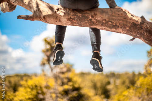 Child climbing Playing Outdoors in a Tree Having Fun in Nature, Boy Scout concept 