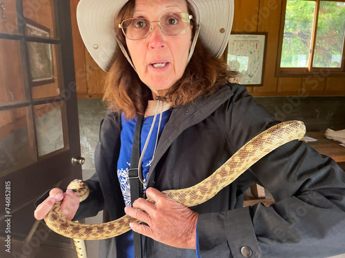 A Mature Woman Naturalist Experiencing a Gopher Snake for the First Time showing ophidiophobia,  The Fear of Snakes photo