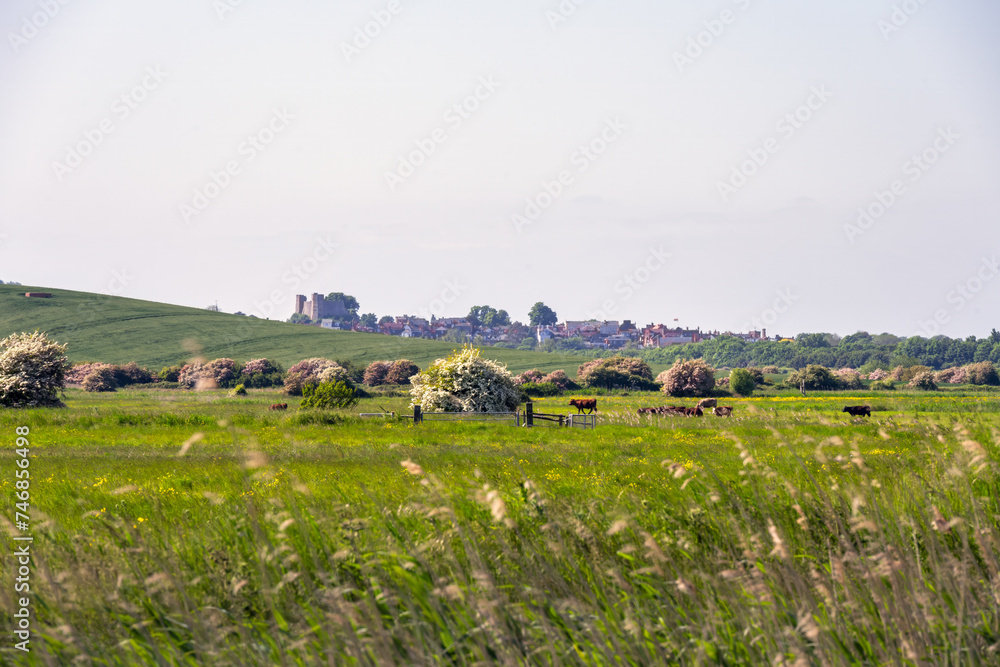 Walking in East Sussex, England, in spring, view of the countryside and Lewes castle