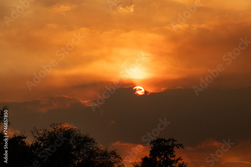 The sun setting among dark moody clouds. There s a treeline below the dramatic sky. The sunbeams are bright orange. The clouds are dark and fluffy. 