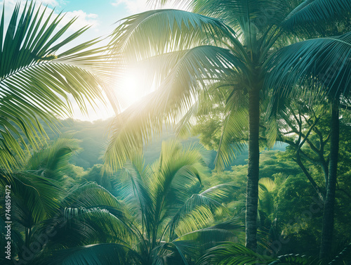 A perfect holiday scene with picturesque palm trees and stunning views. Ideal for travel blogging  social media sharing  and captivating blog content.
