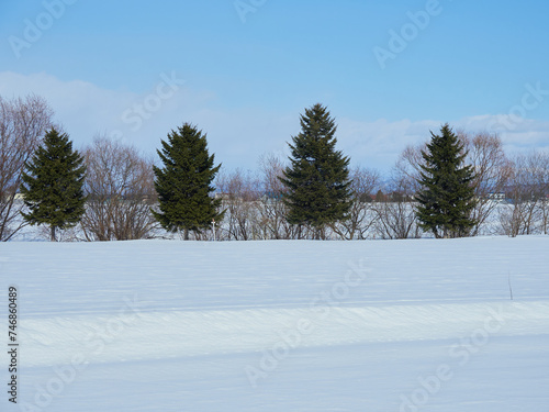 冬の北海道の旭川市の郊外の街の雪風景