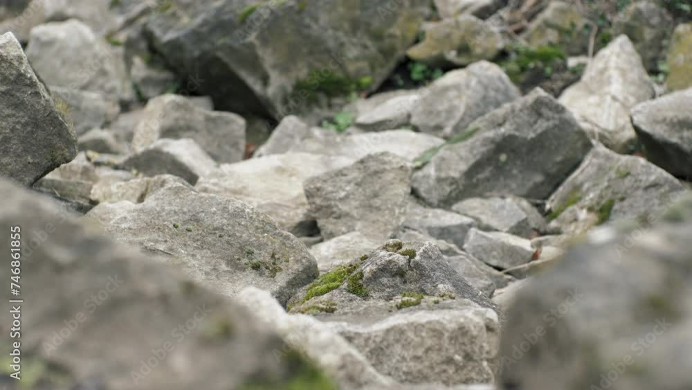 Many old stones covered with moss close-up. Old stones. Rock Many old stones covered with moss close-up. Old stones. Rock