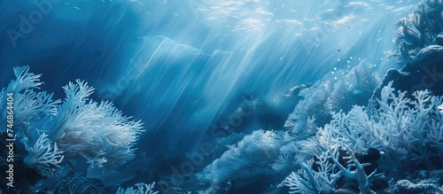 The image shows a vibrant coral reef underwater, with sunlight filtering through the water, creating a mesmerizing effect. Various coral species and marine life are visible in the clear blue waters.