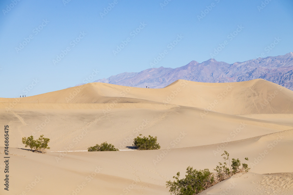 Mesquite Flat Sand Dunes, Death Valley National Park, California Mesquite Flat Sand Dunes, Death Valley National Park, California