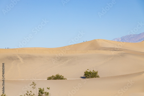 Mesquite Flat Sand Dunes  Death Valley National Park  California