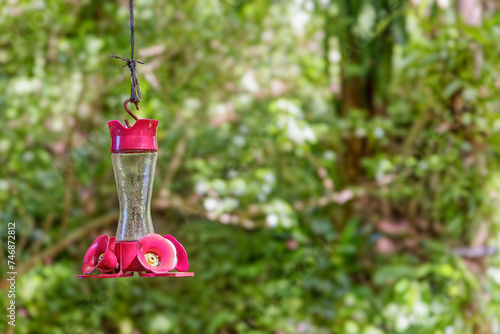 Hummingbird Feeder in Forest © dbvirago