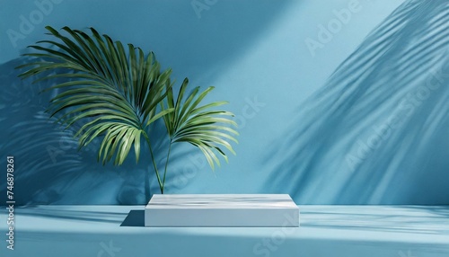 Blue background studio interior room with tropical palm shadow. Minimalist summer product stage platform mock up. 3d render of square empty space with plant shade for product placement. © adobedesigner