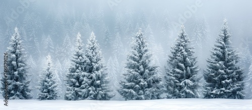 A group of majestic pine trees stand tall, their branches weighed down by glistening snow. These timeless symbols of winter are surrounded by a blanket of white, creating a serene and picturesque