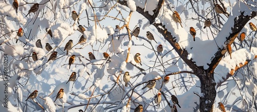 A large gathering of tree sparrows and yellowhammers sit atop a snow-covered tree, creating a unique contrast of shadowy forms against the white background. The birds look alert and huddled together