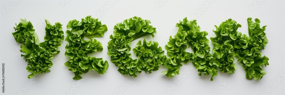 Word 'VEGAN' made of lettuce leaves Word 'VEGAN' made of lettuce leaves