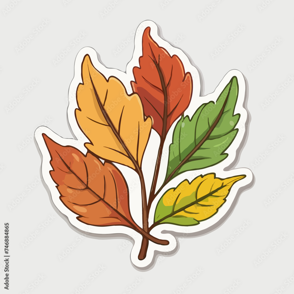 leaf isolated on white
leaf isolated on white
