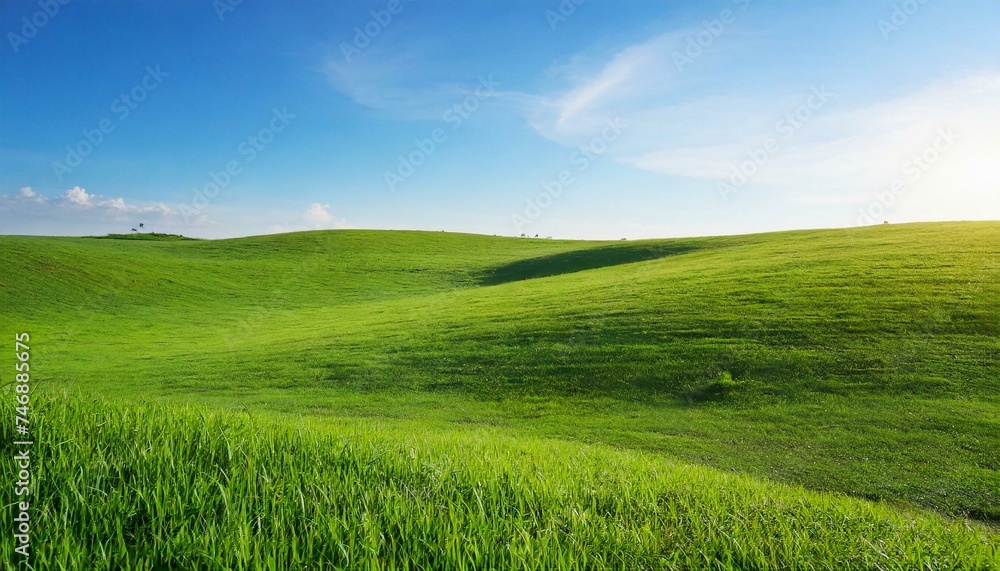 Obraz premium Landscape view of green grass field with blue sky background 