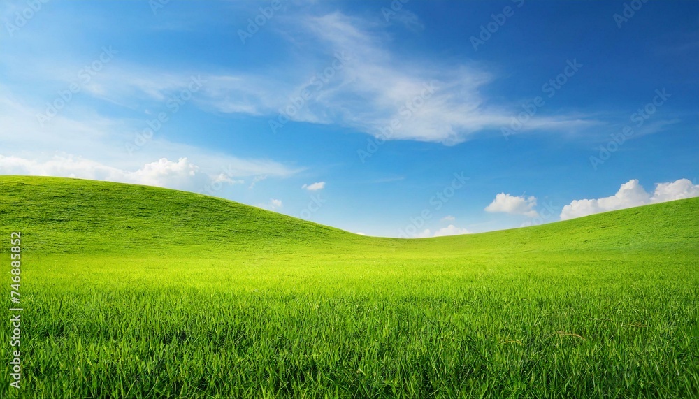 Landscape view of green grass field with blue sky background	
