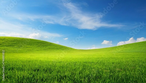 Landscape view of green grass field with blue sky background   © adobedesigner