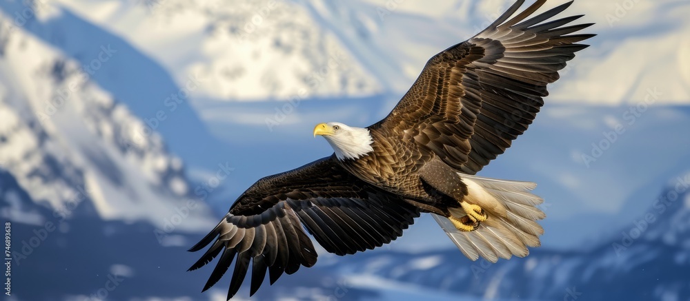 Obraz premium Majestic Bald Eagle Soaring Over Mountain Landscape - Symbol of Freedom and Power