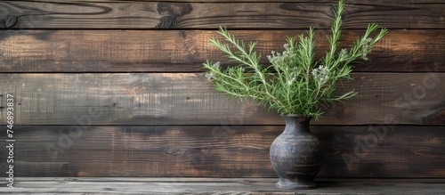 A vase with a plant, specifically aromatic rosemary, is placed on a table. The elegant vase contrasts with the rustic wooden background, creating a stunning display.