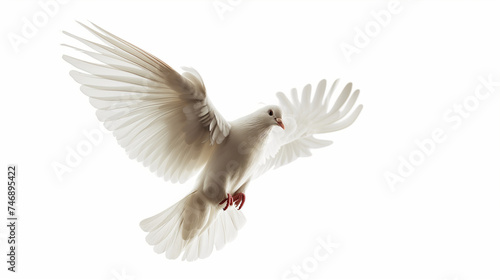 Graceful Soaring Dove