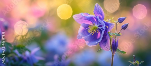 Vibrant Purple Flower Blooming with Green Leaves on Blurred Background