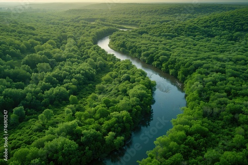Aerial view of a forest with a river, concept of environmental preservation. © Deivison