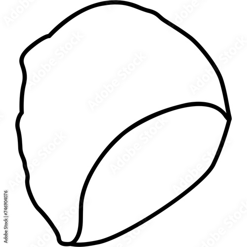 Swim Cap Icon