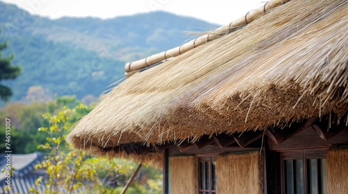 Rustic Elegance Thatching Straw Roof Crafted from Nature Bounty