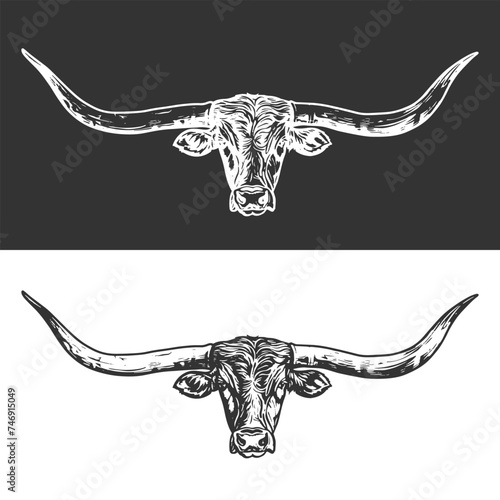 Longhorn Illustration Clip Art Design Shape. Texan Cattle Silhouette Icon Vector. photo