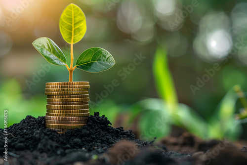 Young plant growing from stack of coins. Sustainable finance development, investment growth, and financial success concept.