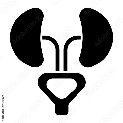 kidney icon