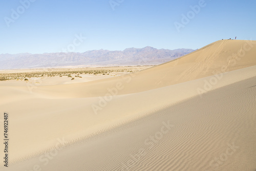 Mesquite Flat Sand Dunes  Death Valley National Park  California