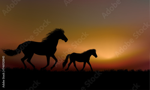 Horses silhouette in grass, meadow over sunset sky in forest landscape vector illustration background. © Suryadi