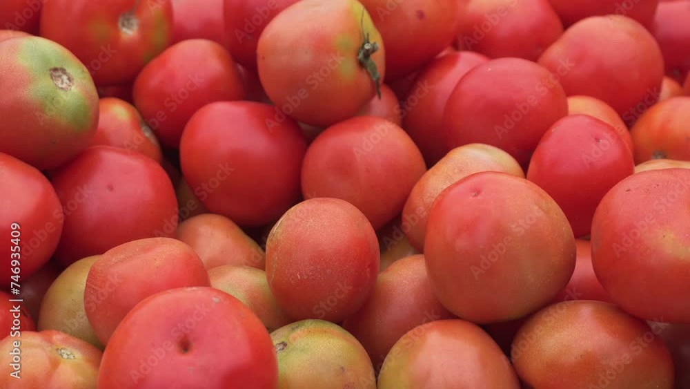 Tomatoes is being sold in the market