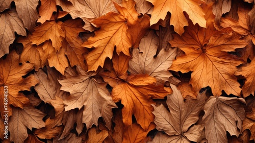 Beautiful Fall Leaves Texture Background