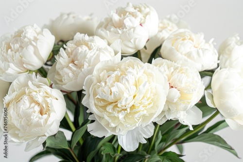 Close-up of flowers peonies. White peonies close-up. © kardaska