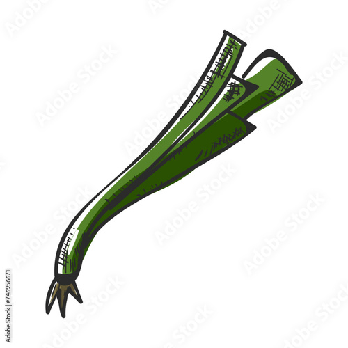 Flat style leek in green color.