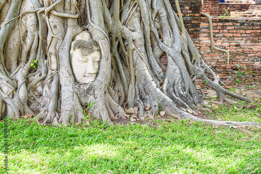 The stone Buddha head entwined in tree roots at Ayutthaya The stone Buddha head entwined in tree roots at Ayutthaya