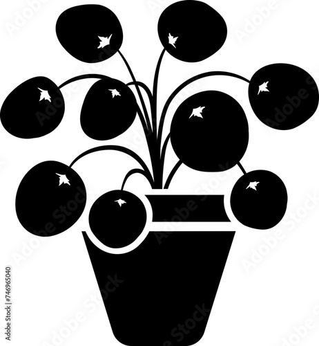 B&W illustration of chinese money plant icon.