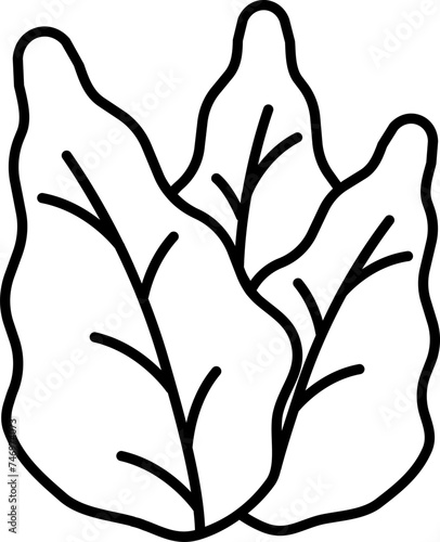 Lettuce Or Spinach Icon in Black Outline.