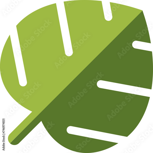 Monstera Leaf icon in green color.