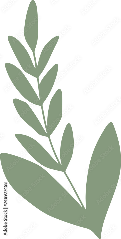 leaves nature flowers spring illustration leaves nature flowers spring illustration