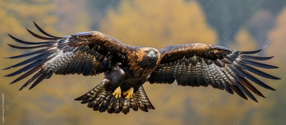 Fototapeta premium Graceful Bird Spreading Its Majestic Wings in Flight Freedom Illustration