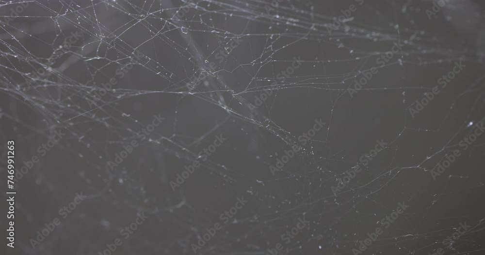 White threads of cobwebs on background of gray surface