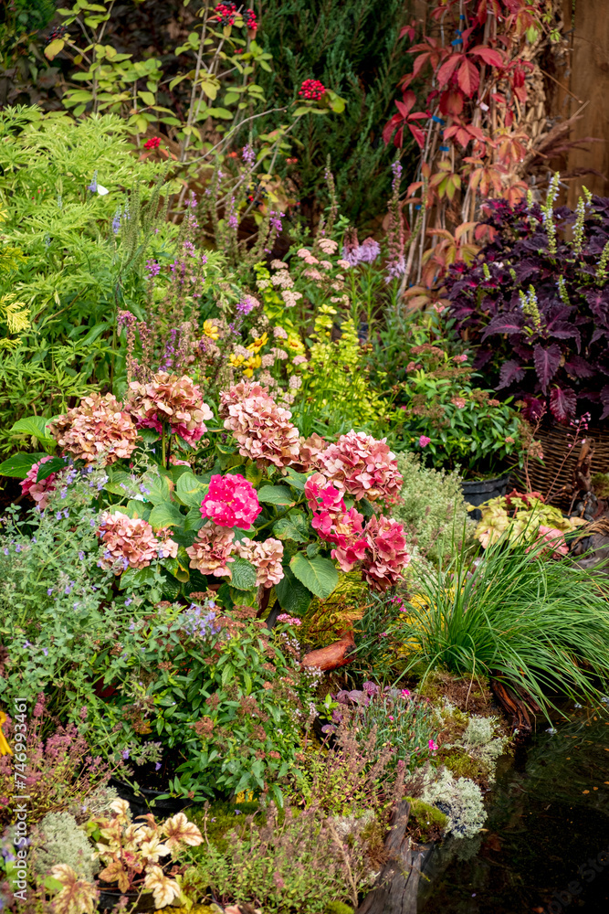 summer garden with different flowers