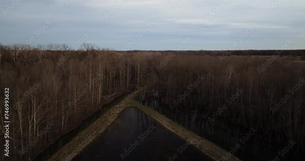 A serene pathway in loosahatchie park, tennessee, with barren trees, aerial view A serene pathway in loosahatchie park, tennessee, with barren trees, aerial view
