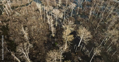 Point remove wildlife area, blackwell, ar, with bare trees and waterways in winter, aerial view photo