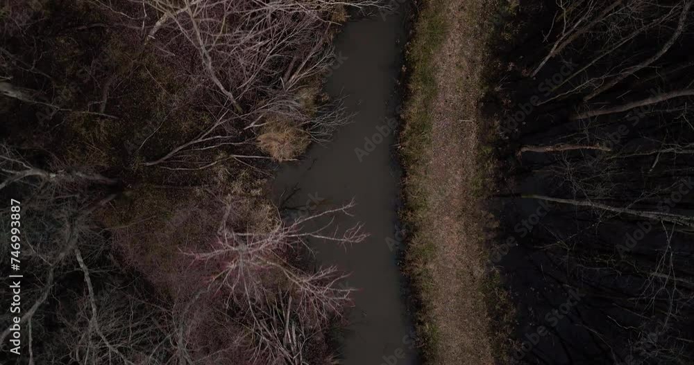 The meandering loosahatchie river amidst barren trees, in tennessee, overcast day, aerial view The meandering loosahatchie river amidst barren trees, in tennessee, overcast day, aerial view