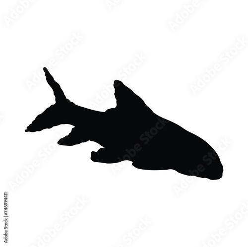 vector design of the silhouette of a predatory fish that has a unique body shape