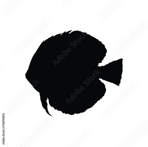 discus fish vector design silhouette.