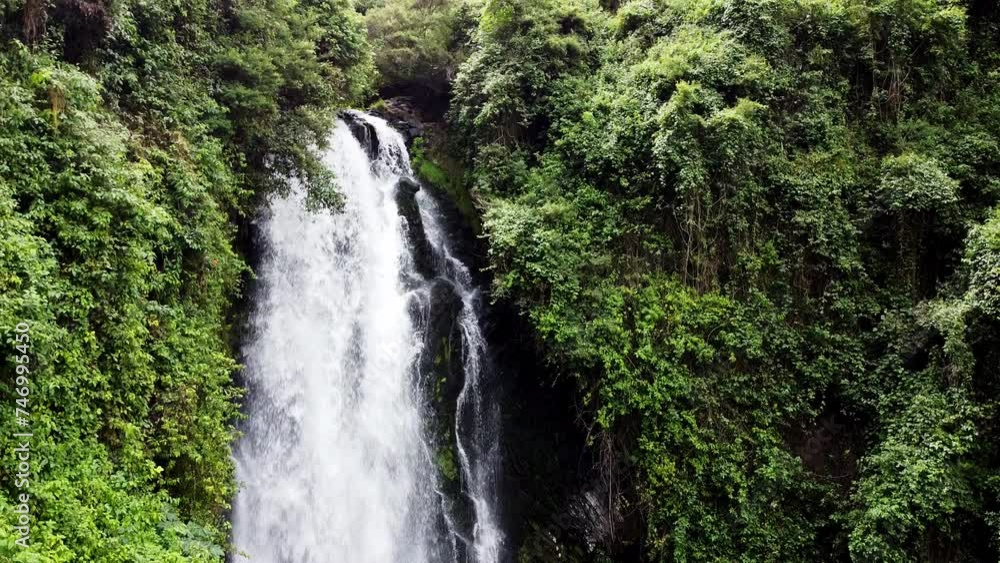 Lush greenery surrounds a cascading waterfall in Banos, Ecuador, nature's serenity captured Lush greenery surrounds a cascading waterfall in Banos, Ecuador, nature's serenity captured